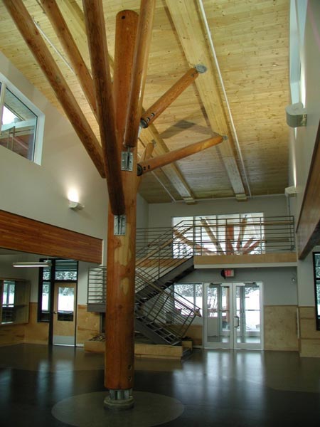 Mayo School