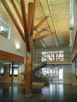 Mayo School